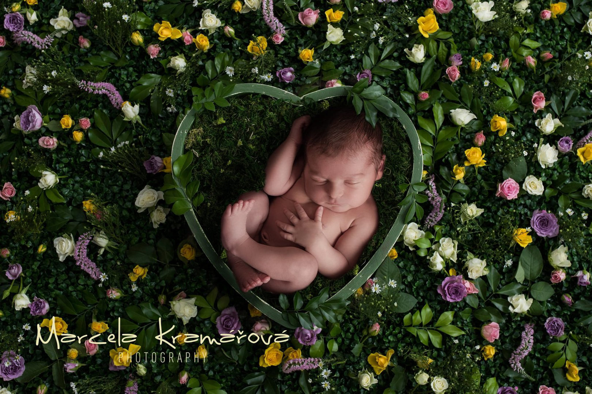 Newborn focení v ateliéru Čechyně u Brna, spící miminko